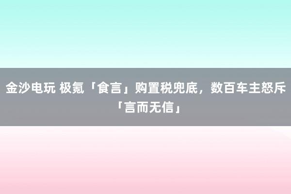 金沙电玩 极氪「食言」购置税兜底，数百车主怒斥「言而无信」