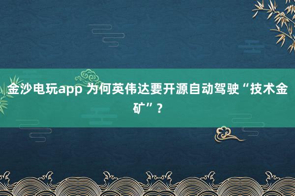 金沙电玩app 为何英伟达要开源自动驾驶“技术金矿”？