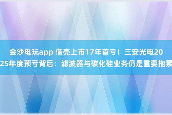 金沙电玩app 借壳上市17年首亏！三安光电2025年度预亏背后：滤波器与碳化硅业务仍是重要拖累