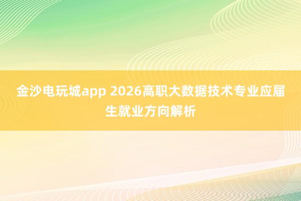金沙电玩城app 2026高职大数据技术专业应届生就业方向解析