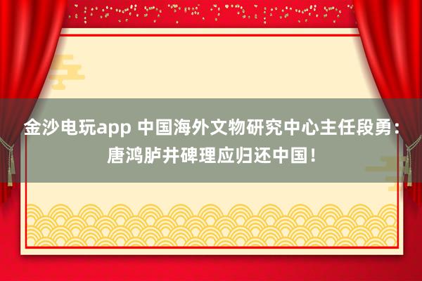 金沙电玩app 中国海外文物研究中心主任段勇：唐鸿胪井碑理应归还中国！