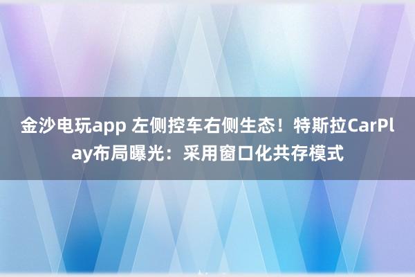 金沙电玩app 左侧控车右侧生态！特斯拉CarPlay布局曝光：采用窗口化共存模式