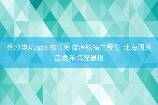 金沙电玩app 布氏鲸遭渔船撞击受伤 北海涠洲岛发布情况通报
