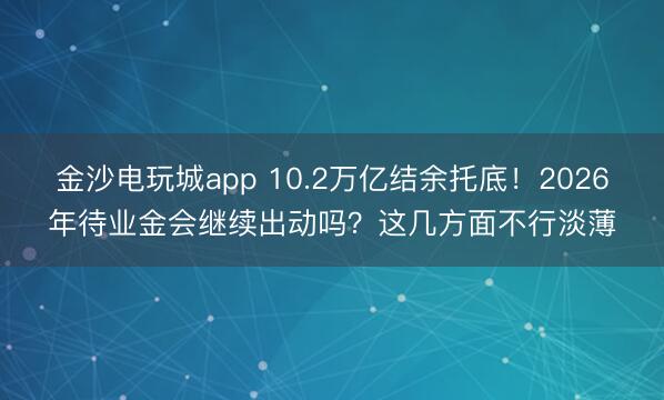 金沙电玩城app 10.2万亿结余托底！2026年待业金会继续出动吗？这几方面不行淡薄