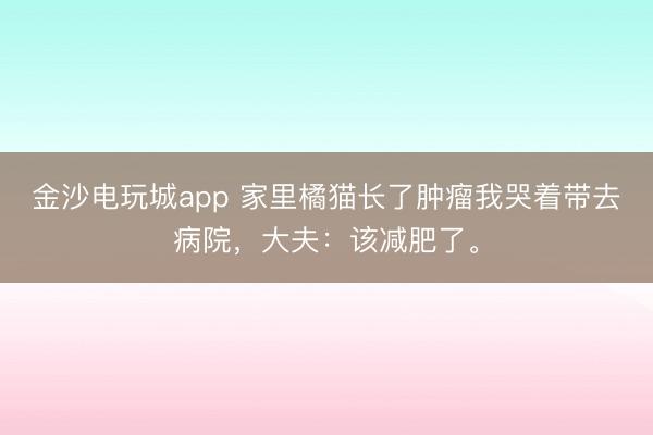 金沙电玩城app 家里橘猫长了肿瘤我哭着带去病院,大夫:该减肥了。